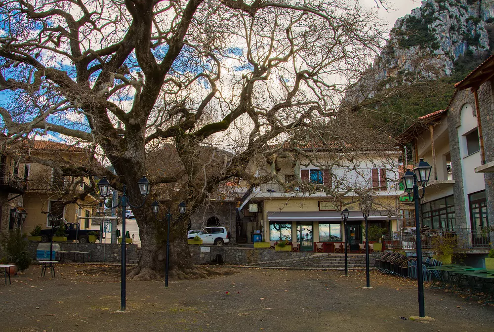 ΤΙΘΟΡΕΑ (ΑΡΤΟΠΛΑΣΙΑ)-ΘΗΒΑ